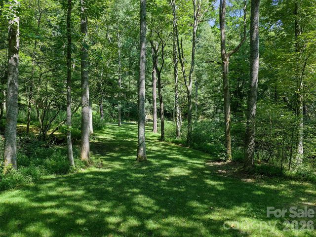 3301 State Highway 197 None N, Burnsville, NC 28714