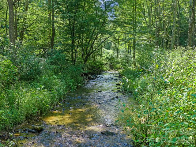 3301 State Highway 197 None N, Burnsville, NC 28714