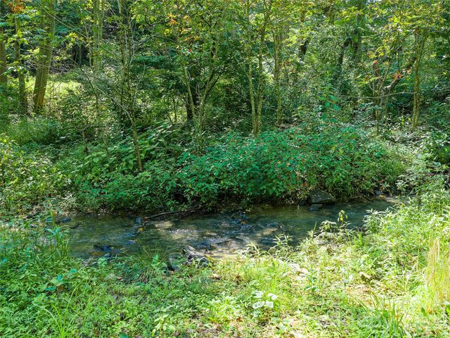 3301 State Highway 197 None N, Burnsville, NC 28714