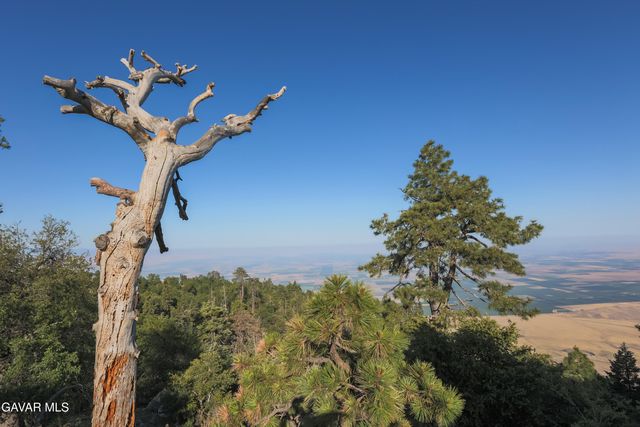 27001 Medicine Bow Court, Tehachapi, CA 93561