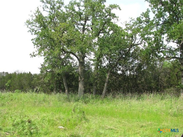 Lot 25 Phase 6 PR 42106, Evant, TX 76525