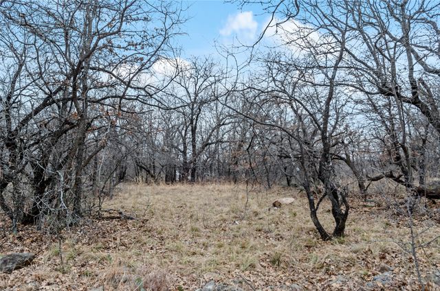 513 Palomino Court, Runaway Bay, TX 76426