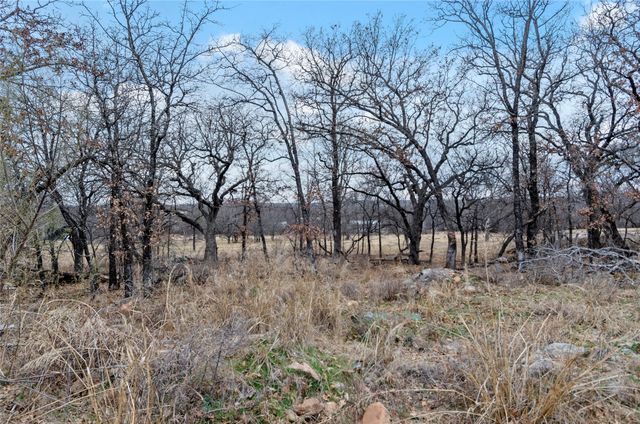 513 Palomino Court, Runaway Bay, TX 76426