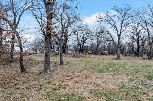 513 Palomino Court, Runaway Bay, TX 76426