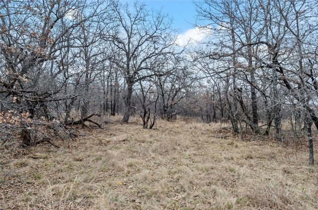 513 Palomino Court, Runaway Bay, TX 76426