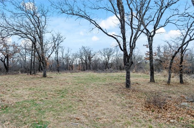 513 Palomino Court, Runaway Bay, TX 76426