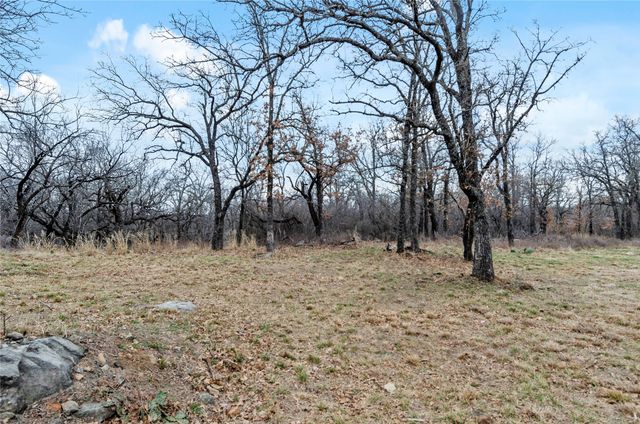 513 Palomino Court, Runaway Bay, TX 76426