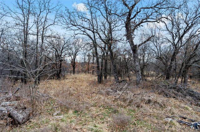 513 Palomino Court, Runaway Bay, TX 76426