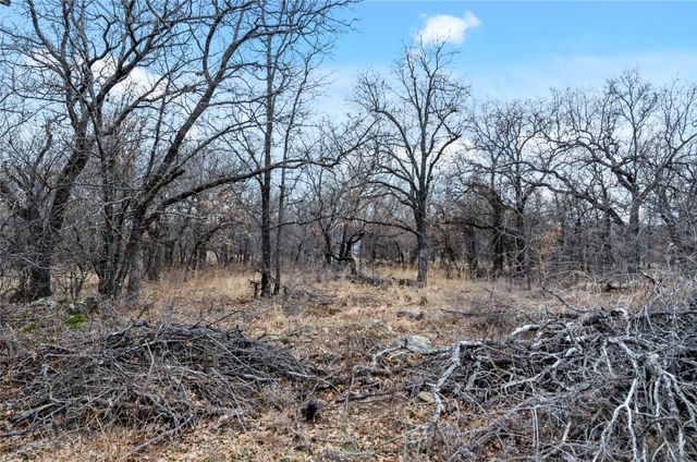 513 Palomino Court, Runaway Bay, TX 76426