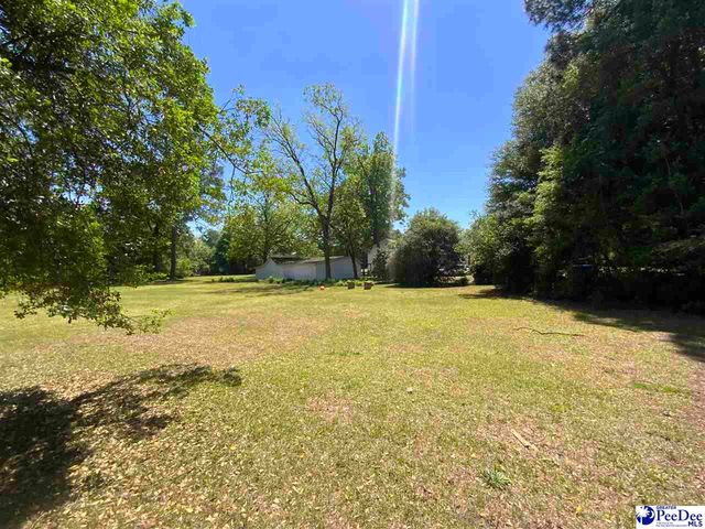 200 Ivey St, Clio, SC 29525