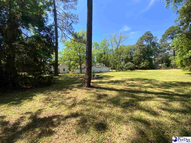 200 Ivey St, Clio, SC 29525