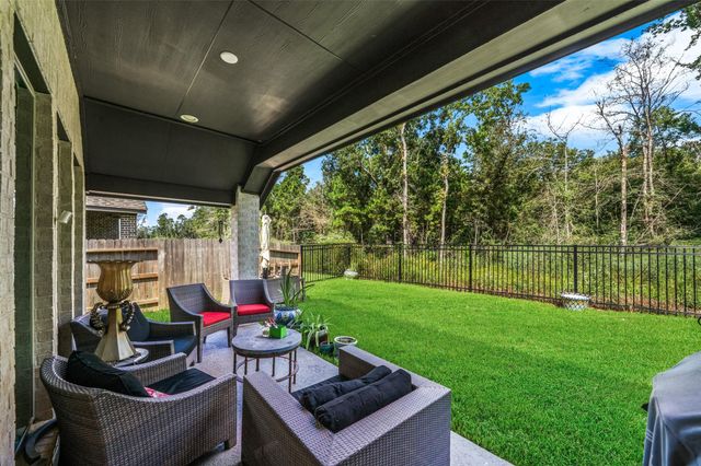 118 Sierra Stream Court, Conroe, TX 77304