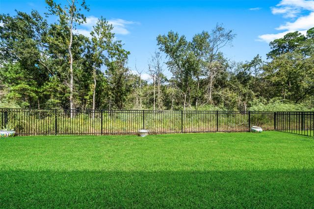 118 Sierra Stream Court, Conroe, TX 77304