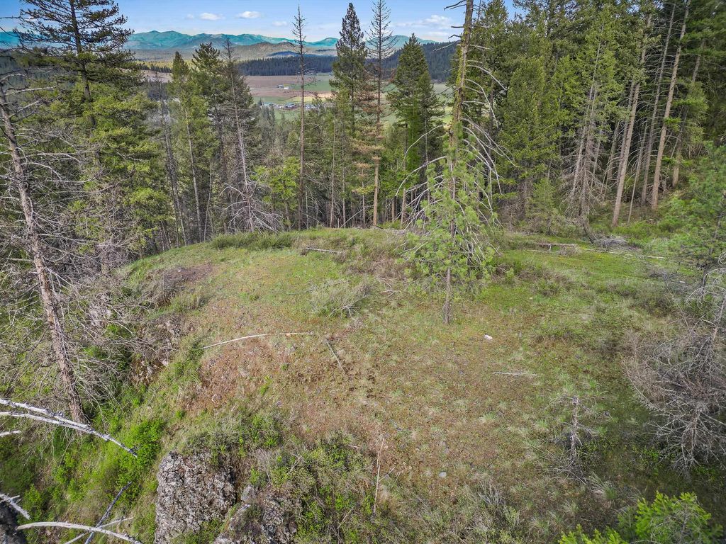 xxx Springdale Hunters Rd, Springdale, WA 99173 photo 3