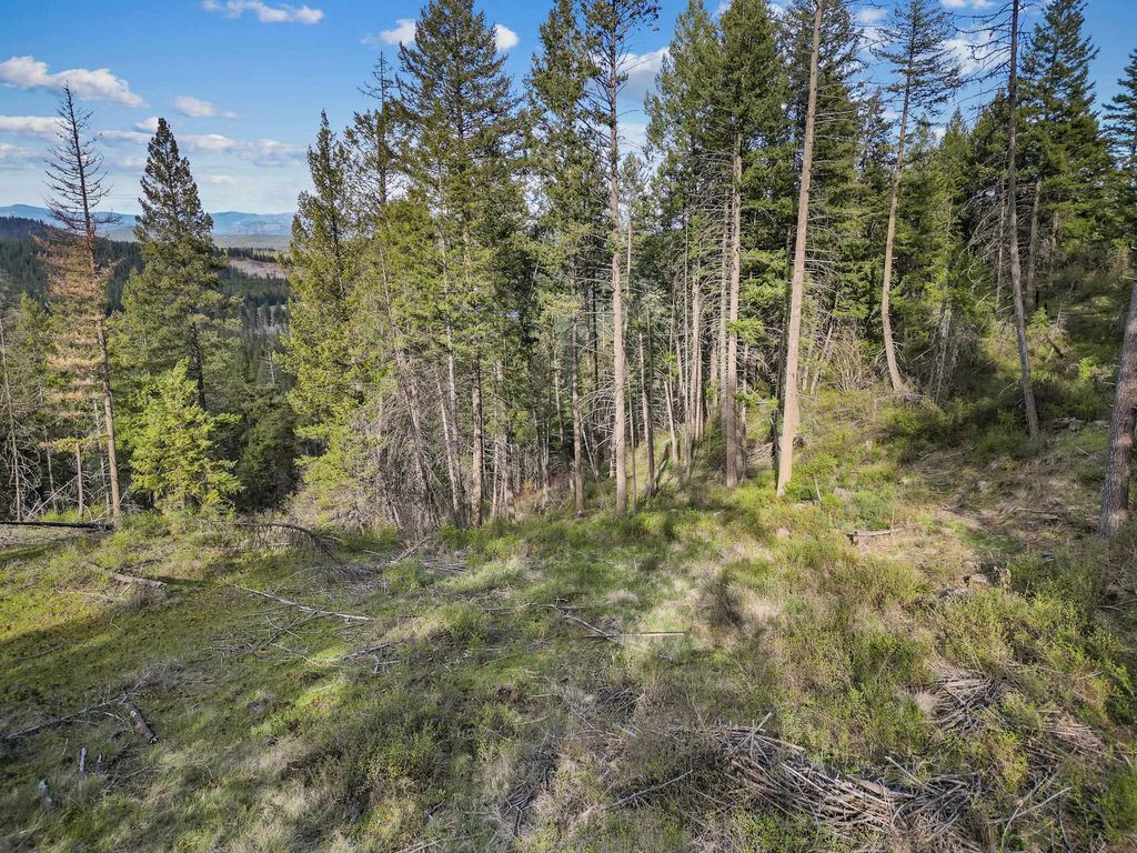 xxx Springdale Hunters Rd, Springdale, WA 99173 photo 4