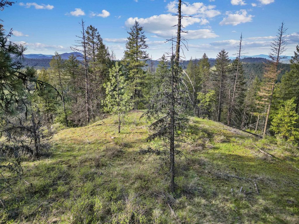 xxx Springdale Hunters Rd, Springdale, WA 99173 photo 5