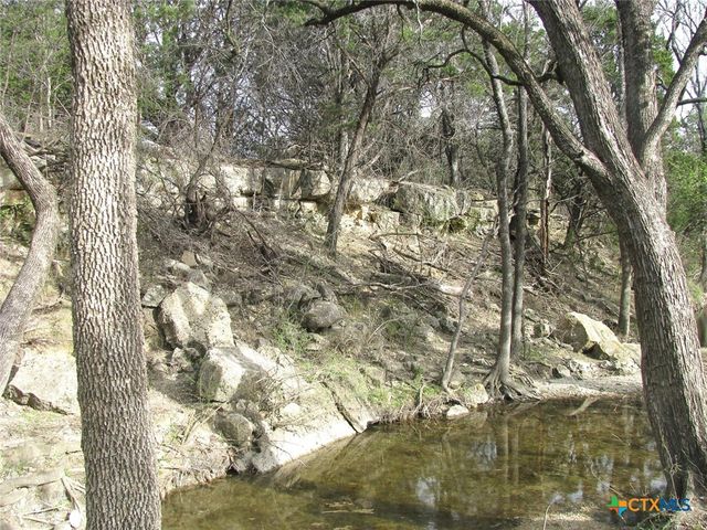 122.64 Acres TBD Fm-116, Gatesville, TX 76528
