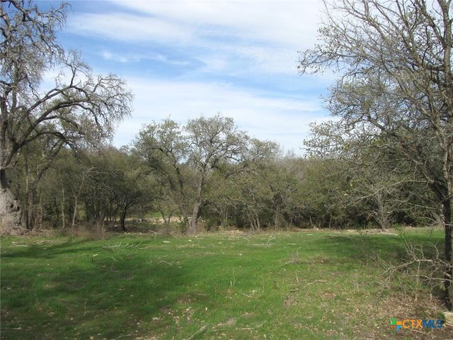 122.64 Acres TBD Fm-116, Gatesville, TX 76528