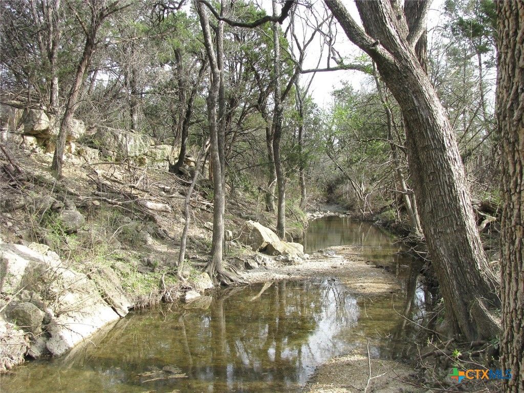 122.64 Acres TBD Fm-116, Gatesville, TX 76528