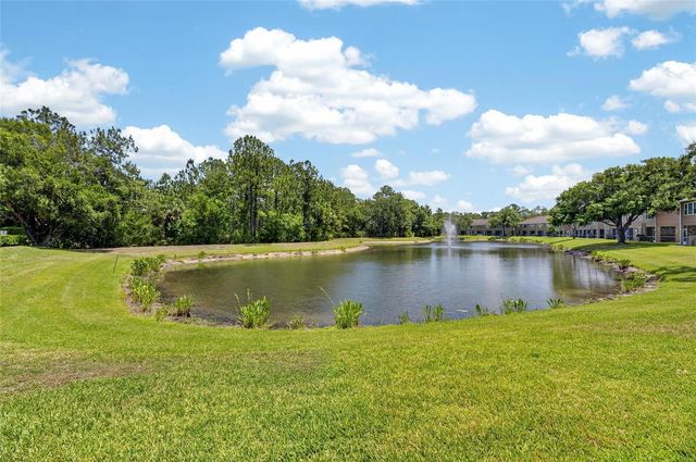 18947 DUQUESNE DRIVE, Tampa, FL 33647