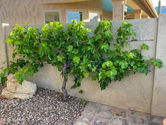 4179 S Tigre Del Mar Drive, Gold Canyon, AZ 85118