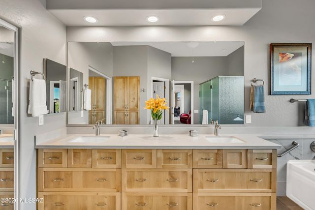 4179 S Tigre Del Mar Drive, Gold Canyon, AZ 85118