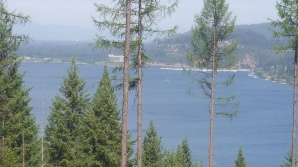 Lot 13 LISA ROAD, Harrison, ID 83833 photo 3