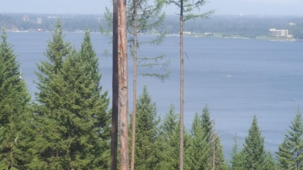 Lot 13 LISA ROAD, Harrison, ID 83833 photo 4