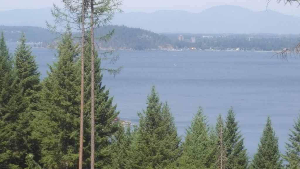 Lot 13 LISA ROAD, Harrison, ID 83833 photo 7