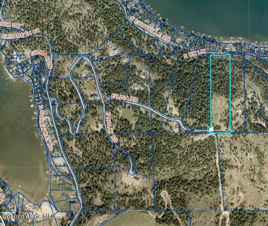 Lot 13 LISA ROAD, Harrison, ID 83833 photo 9