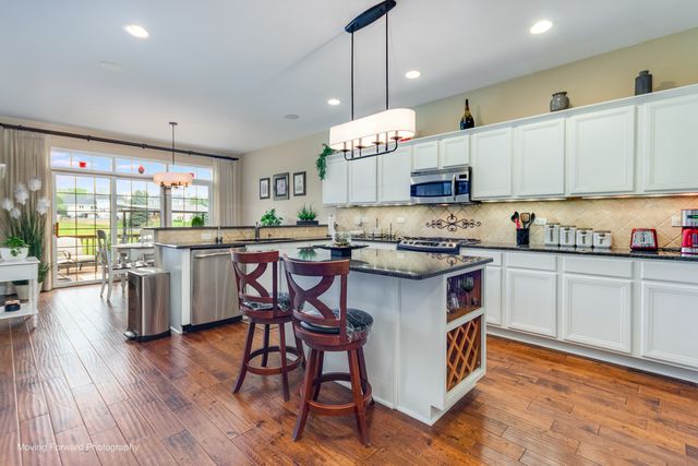 3209 Lightning Court, New Lenox, IL 60451