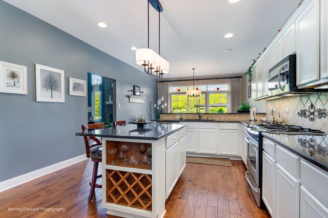 3209 Lightning Court, New Lenox, IL 60451