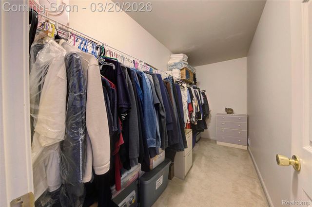 8627 Cass River Drive, Handy Township, MI 48836