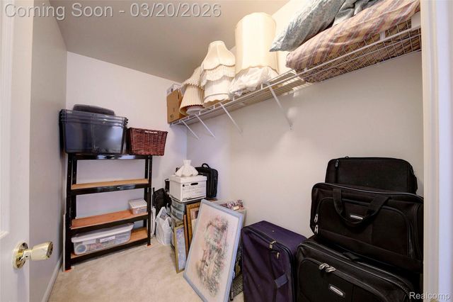 8627 Cass River Drive, Handy Township, MI 48836