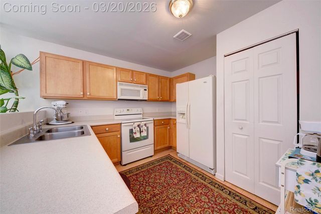 8627 Cass River Drive, Handy Township, MI 48836