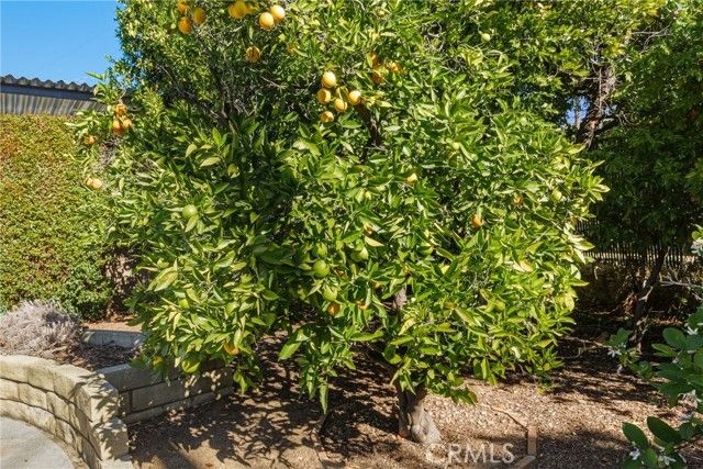 438 Crestview, Monrovia, CA 91016