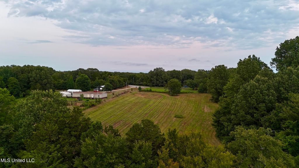 C Williams Drive, Coldwater, MS 38618 — photo 3