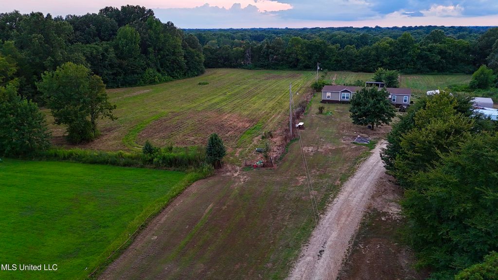 C Williams Drive, Coldwater, MS 38618 — photo 5