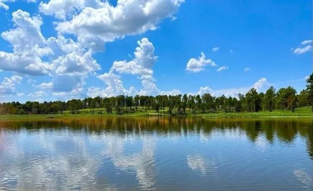 1151 S Anna Grace Road, Livingston, TX 77351