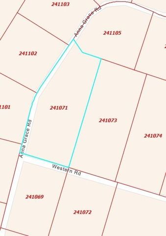1151 S Anna Grace Road, Livingston, TX 77351