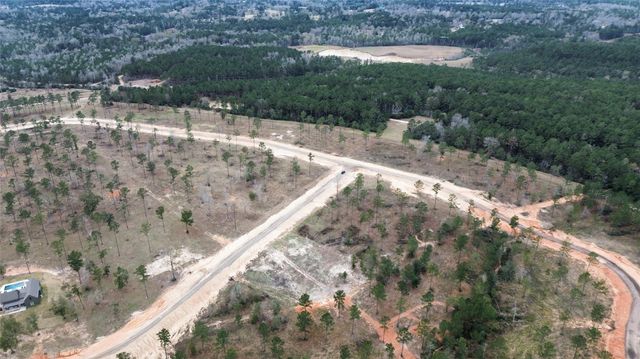 1151 S Anna Grace Road, Livingston, TX 77351