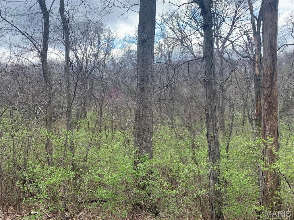 Image 5 of property listing at 910 Old Eatherton, Wildwood, MO 63038