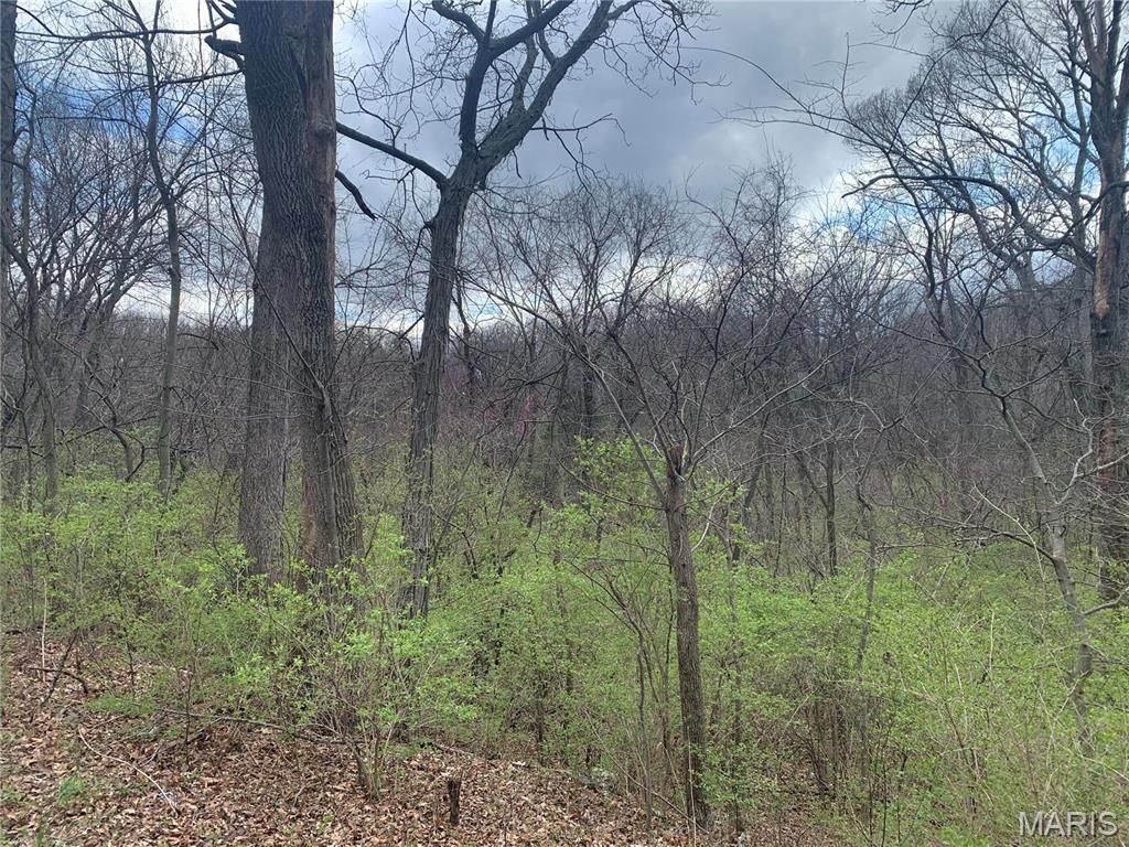 Image 7 of property listing at 910 Old Eatherton, Wildwood, MO 63038