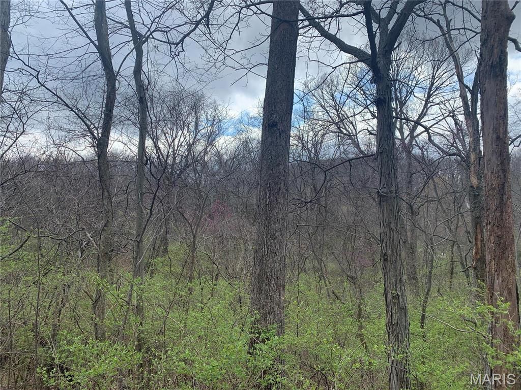 Image 9 of property listing at 910 Old Eatherton, Wildwood, MO 63038