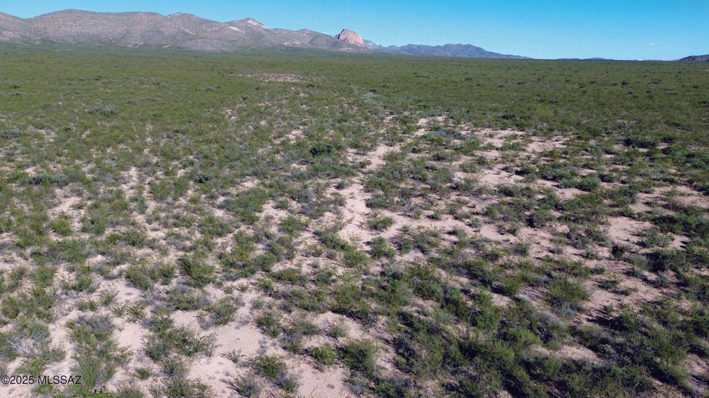 4.79 Acres La Deffensa Road # 167, Douglas, AZ 85607