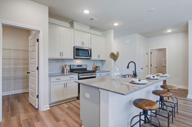 5374 Crinum Lilly, Summerville, SC 29485