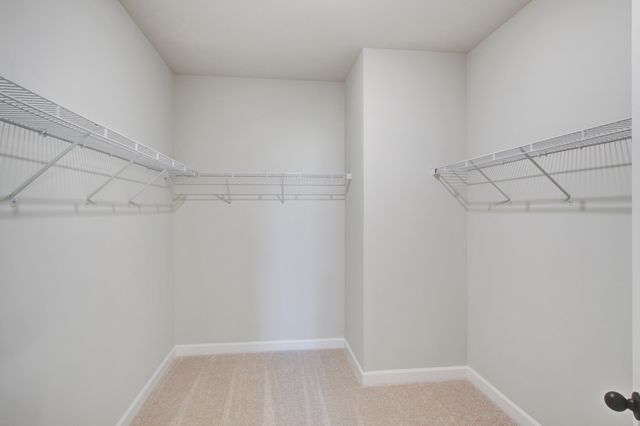 5374 Crinum Lilly, Summerville, SC 29485