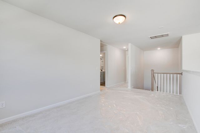 5374 Crinum Lilly, Summerville, SC 29485
