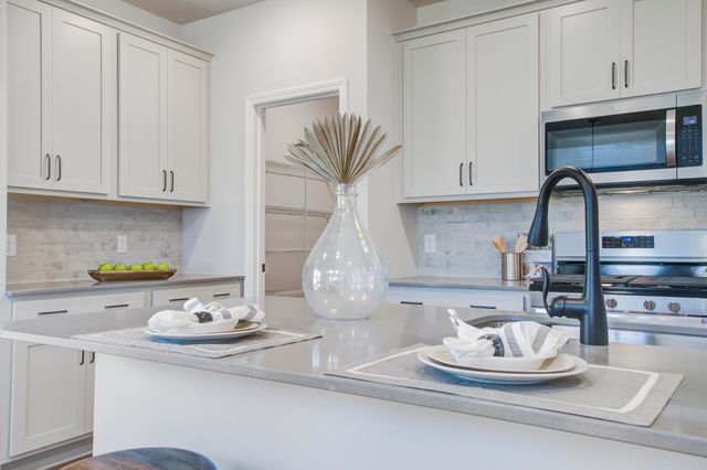 5374 Crinum Lilly, Summerville, SC 29485