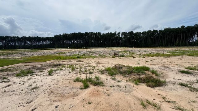 5374 Crinum Lilly, Summerville, SC 29485
